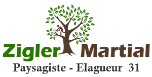 elagage-zigler-martial